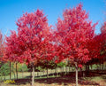 Acer r Sun Valley #15