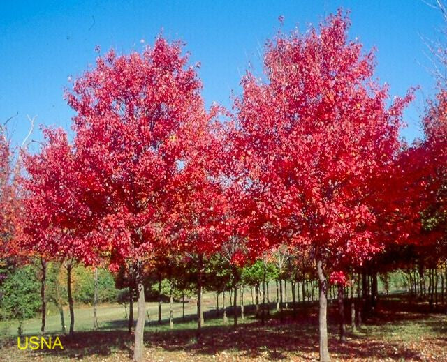 Acer r Sun Valley #15