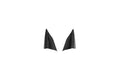 CCS C8 Corvette Carbon Fiber A Pillar Interior Trim Overlay