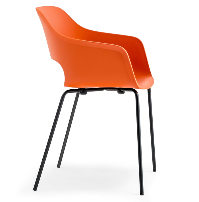Chaise Pedrali - Babila 2735