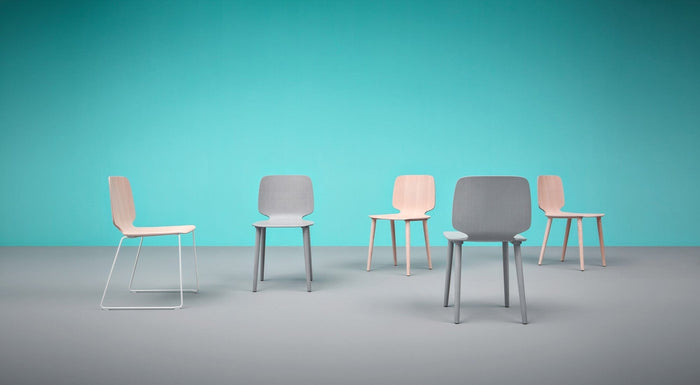 Chaise Pedrali - Babila 2750