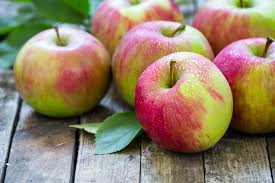 Fruit-Apple-Gravenstein semi-dwf  #7