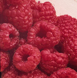 Fruit-Raspberry-Latham #1