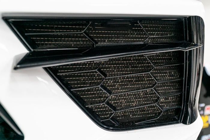 Paragon Grill guards installed for reference